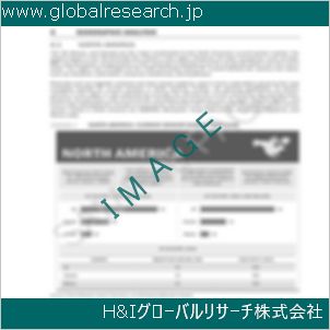 グローバルリサーチ調査資料のイメージ